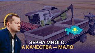 Много зерна низкого качества. Стоит ли ждать роста цен на Урожай 2024 в Казахстане?