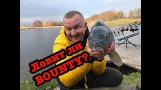 Рыбалка на Bounty. Ловит ли карпа Bounty на Подкове?