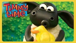Timmy's New Friend  Timmy Time  Full Episode
