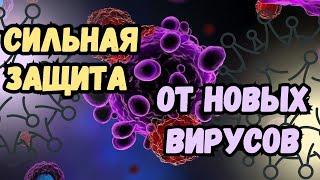 Самый простой способ защититься от вирусов ‍️
