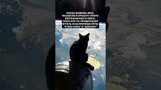 Тайные знания, о которых не принято говорить. Присоединяйтесь по ссылке шапке профиля ️