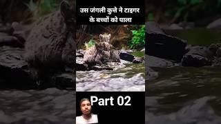 #tiger Jungle mein kutta tiger ki baccha ko palta tha part 0.2 #shorts