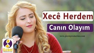 Xecê Herdem Canın Olayım (Akustik)