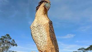 Welcome to DAVAO CITY..AGILA ng Davao