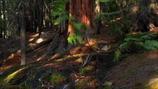 Environmental Defense Fund