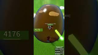 EZ Light Combo