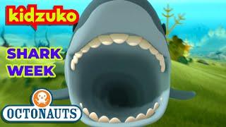 ​@Octonauts -  Incredible Shark Escapes  | Shark Week Marathon | @Kidzuko