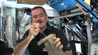 Eating Dessert Aboard the Space Station | CSA Science Full HD Video