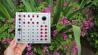 Serge M-Class 10-step Gate Sequencer + VCO