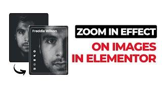 Add Zoom in Effect on Profile Images in Elementor 2022 | WordPress Tutorial 2022