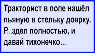 Тракторист в поле нашёл пьяную в стельку доярку... Клуб анекдотов!