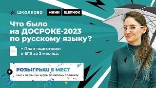 Что было на ДОСРОКЕ-2023 по русскому языку? План подготовки к ЕГЭ за 2 месяца.