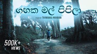 Gahaka Mal Pipila | ගහක මල් පිපිලා - Cover by Thiwanka Mihiran