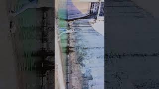 Mastana mousam hei rangi najara