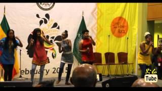 DireTube Video - Yegna Music Band at American Embassy: Black African Month
