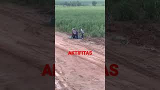 PEKERJA PERKEBUNAN TEBU #indonesia #viral #viralvideo #shots #perkebunan #perusahaan#pabrik