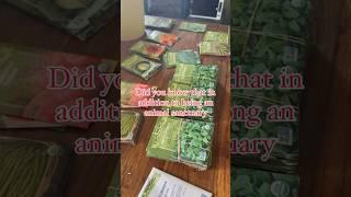 Have you visited a Free Farm Stand before?? #community #mutualaid #foodjustice