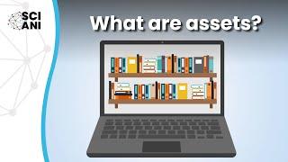 What are assets, and why do they matter?