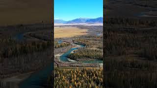 Russia  Altai Chuya River #travel #shorts #shortvideo