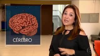Brazilian researchers test new technique that could help understand the brain and some diseases
