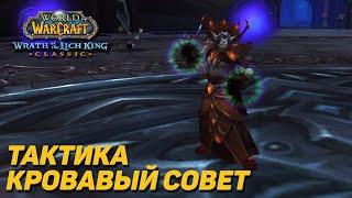 КРОВАВЫЙ СОВЕТ - ТАКТИКА ЦЛК 25ХМ WOTLK CLASSIC