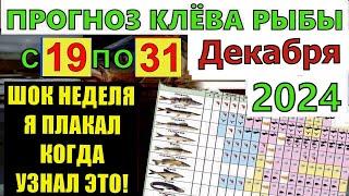 Прогноз клева рыбы на Эту неделю с 19 по 31 Декабря 2024 Лунный Календарь рыбака Лунный прогноз клев