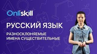 РУССКИЙ ЯЗЫК 6 класс: Разносклоняемые имена существительные