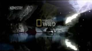 Nat Geo Wild