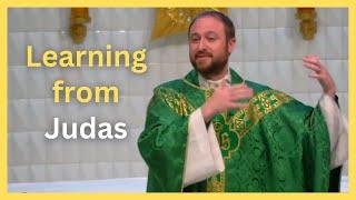 11th Sunday in Ordinary Time Catholic Mass Homily