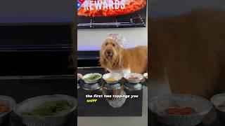 I let my dog choose my pizza toppings! #dogchallenge #goldendoodle #dogdad