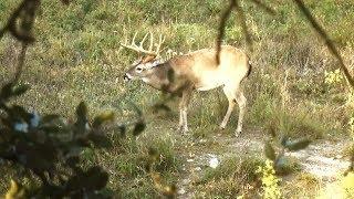 Bow Hunting with the Yamaha Whitetail Diaries Crew