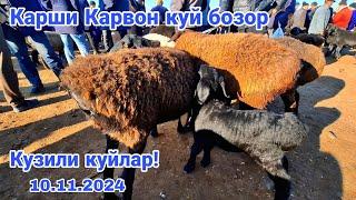 Карши Карвон куй бозори нархлари! 10.11.2024