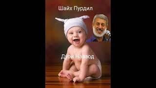 Шайх Пурдил Дуои навзод.