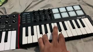 Should you by the akai mini keyboard or The Worlde Panda mini keyboard ?