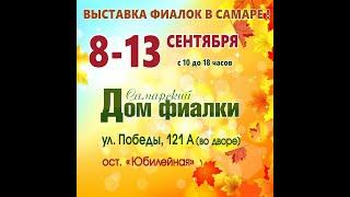 ВЫСТАВКА ФИАЛОК,8-13 сентября,Самарский дом фиалки,ул.Победы,121 А.