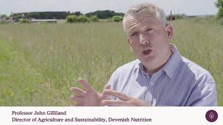 Where does the food strategy leave us? Professor John Gilliland, Devenish Nutrition