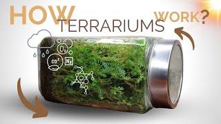 How closed terrariums work and the science behind them.