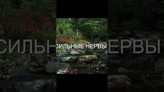 ТИЗЕР К РОЛИКУ - "ИСЦЕЛЕНИЕ ОТ ЛАРИНГИТА "/ Настрой от Сытина / Здравушка #shorts