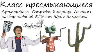 Класс пресмыкающиеся. Ароморфозы. Отряды. Ящерица. Лекция и разбор заданий от Юрия Беллевича