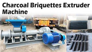 How to Make Charcoal Briquettes with a Powerful Briquette Machine #charcoal #coal #briquettes