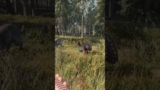 Don't mess with me when I'm hunting  | theHunter: Call of the Wild