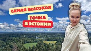 САМАЯ ВЫСОКАЯ ТОЧКА В ЭСТОНИИ. ВЛОГ ИЗ ОТЕПЯ