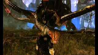 The Witcher 2 Kayran Boss Fight