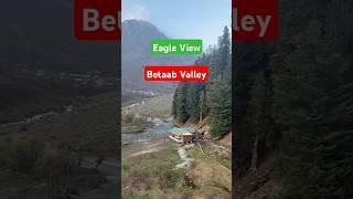 Eagle View of Heaven – Betaab Valley Pahalgam! ️ #shorts