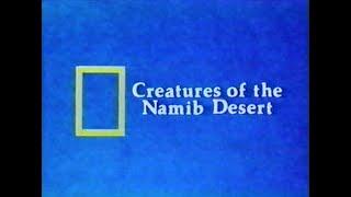 National Geographic: Creatures of the Namib Desert (1978)