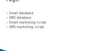 sms marketing script, email marketing script