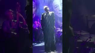 Morrissey- Please Please Please (Brussels 16/3/2023)