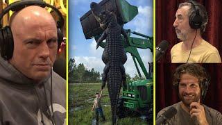 Rogan Knows More About Crocs And Gators Than The Experts | Joe Rogan & Eric Goode & Jeremy McBride