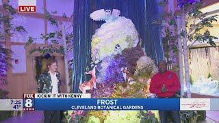 'Frost' illuminates the beauty of winter at Cleveland Botanical Garden