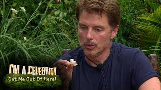 John Chomps Through His Bushtucker Bonanza  | I'm a Celebrity... Get Me Out of Here!